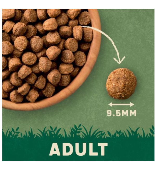 Harringtons Complete Salmon & Potato Adult Dry Dog Food