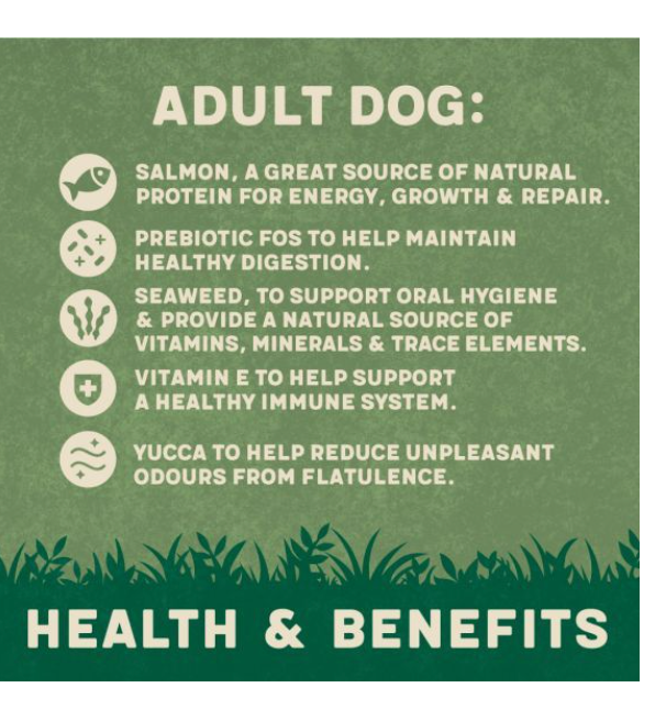 Harringtons Complete Salmon & Potato Adult Dry Dog Food