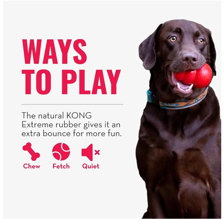 KONG - Extreme Ball - Durable Rubber Dog Toy for Power Chewers, Black - For Medium/Large Dogs